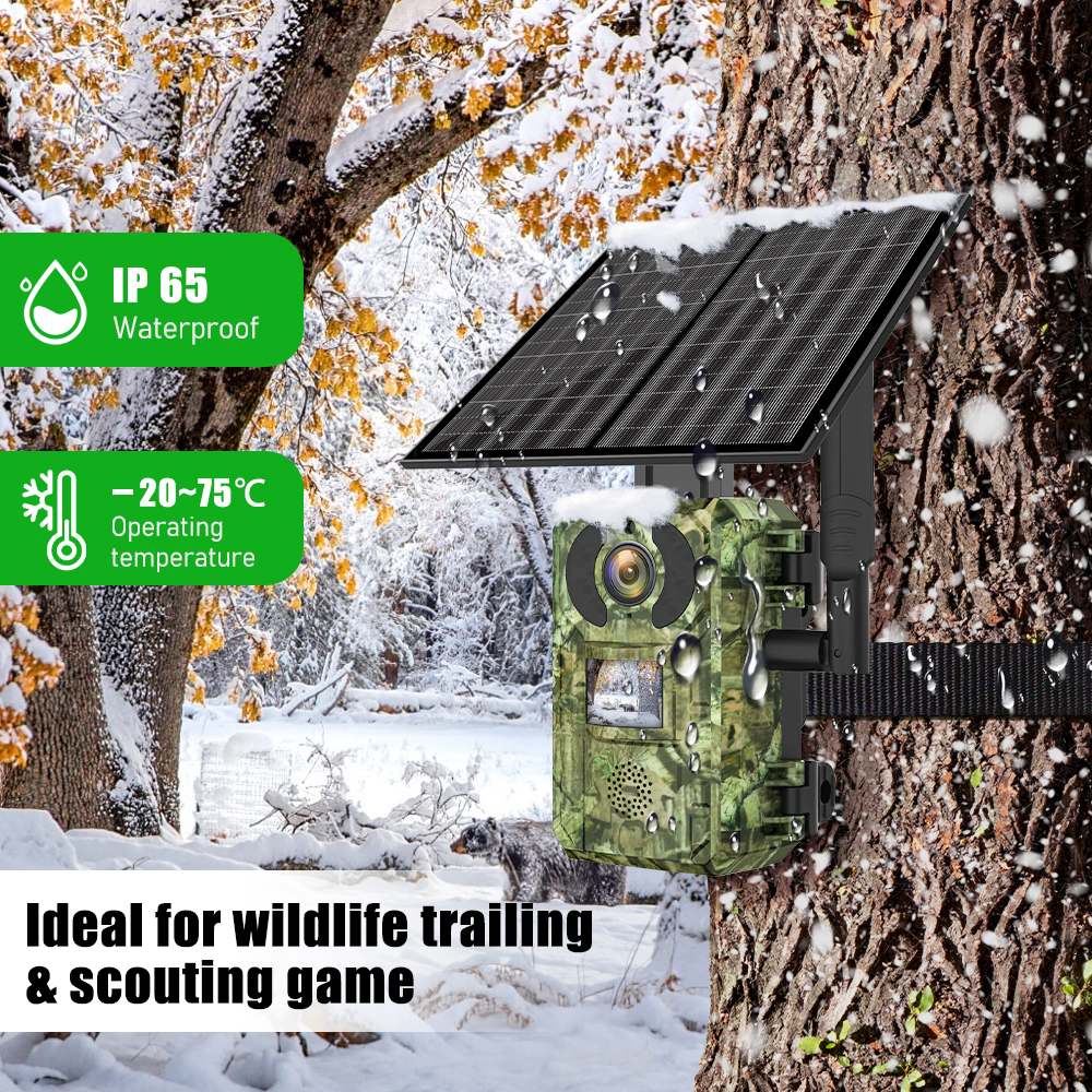 EU Band 4G Cellular LTE Live V - Home Security Game ulasan dan harga