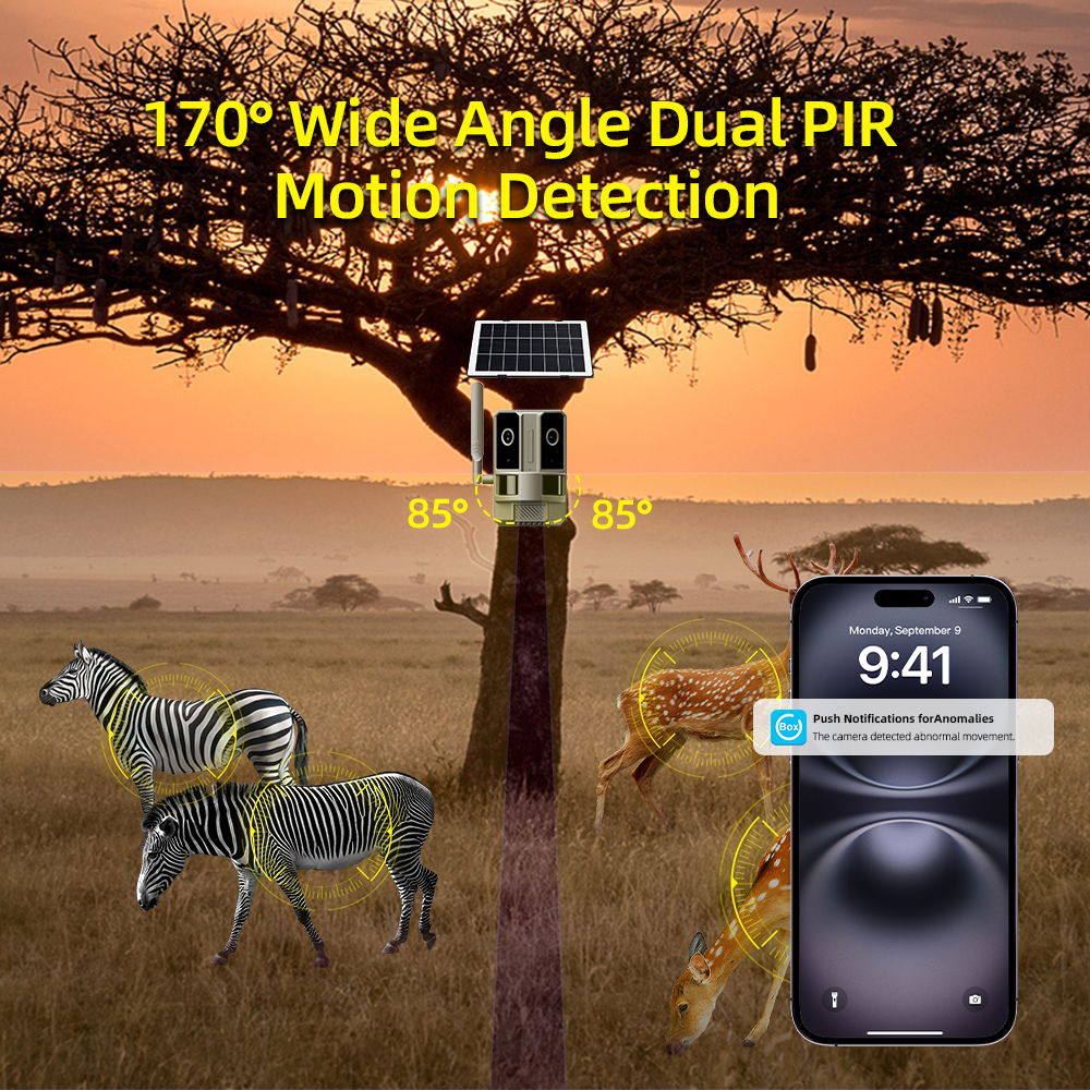 EU 4G LTE Cellular Dual-Lens D - Home Security Game ulasan dan harga