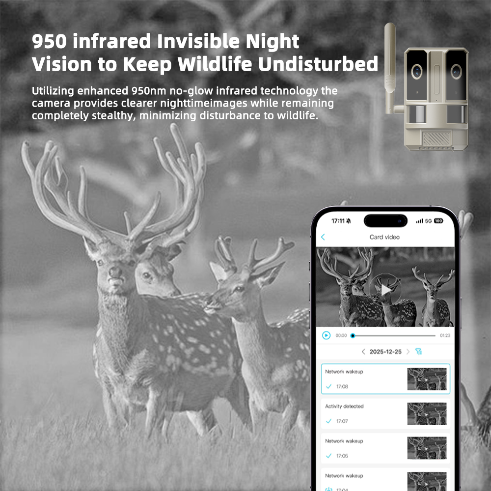 EU 4G LTE Cellular Dual-Lens D - Home Security Game ulasan dan harga